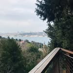 Abdulrahman - @abe___abdul - Instagram
