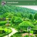 Abe Abera - Facebook