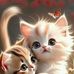 Abe Dejalil Abari - Facebook