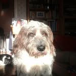 Abraham Albright - @abe.albright12 - Instagram