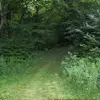 Abe Werczberger - @abeberger - TikTok
