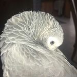 This is abes back up - @abe_beydoun47 - Instagram
