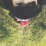 Abee - @abeelam - Instagram