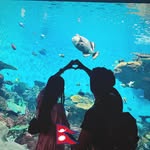 Tamang Abee Moh - @abee_lama123 - Instagram