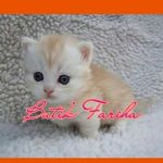 butik abe_Far - @butik_abefar - Instagram