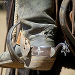 Abe Fehr - @a_bar_f - Instagram
