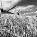 @aberdeenshire_fieldsports - Instagram