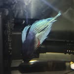 ABE Fletcher😉 - @abespage - Instagram