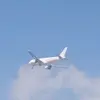 Abel Flores - @abel.flores573 - TikTok