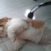 frederick sahibuddin abear bernabe - Facebook