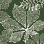 Bestattungshaus Abendfrieden GmbH - @bestattungshausabendfrieden - Instagram