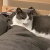abegardner - @abegardner - TikTok