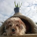 Aidan Gleeson - @aidan_n_abetting - Instagram