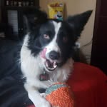 Abe Goodman - @abegoodma - Instagram