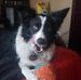 Abe Goodman - Facebook