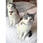 Abe and Griffin - @abe_and_griffin - Instagram
