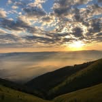 Abe Griffin - @griffin_abe - Instagram