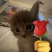 Abe Gutierrez - Facebook