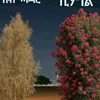 abi abi - @aberhahagos - TikTok