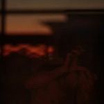 Abe Halpert - @abe_in_nature - Instagram