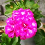 hamideh.abed - @hamideh.abed60 - Instagram