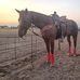 Abe Hamm - Facebook