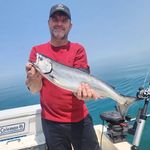 Abe Harder - @little_abe_harder - Instagram