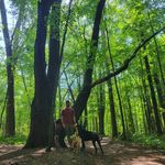 Abe Harder - @into_the_wild13 - Instagram