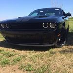 Abe Harder - @abe.harder.165 - Instagram
