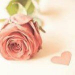 Abeer Hashem - @abeerhashem - Instagram