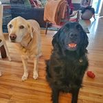 Abe G Heller - @abraham.heller - Instagram