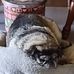 Abe Heeler - Facebook