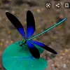 Abel Hicks - @abel.hicks1 - TikTok