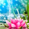 Abraham Hicks - @abraham.hicks - TikTok