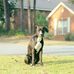 Abe Hodges - Facebook