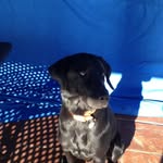 Abe - @abe_the_hunter - Instagram