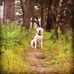 Abe Hunter - Facebook