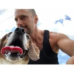 Hunter the Beagle - @a_beagle_named_hunter - Instagram