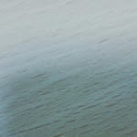 Abe John - @abejohn4768 - Instagram