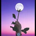 Abeer Almashni - @almashniabeer - Instagram