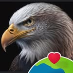Abe Med - @weldca79 - Instagram