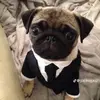 Abel Revilla - @abel.revilla - TikTok