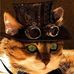 Abe Sanders - Facebook