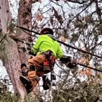 Abe Wright - @ap_barz_ - Instagram