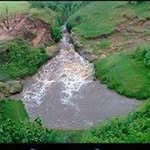 Jemal Demeke Abebe - @jemaldemekeabebe - Instagram