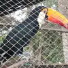 Abel Alonso - @abel.alonso23 - TikTok