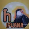 Abel el propio ypuana - @abel.antonio.gonzl - TikTok