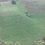Abel arellano - @abelarellano2018 - Instagram
