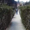 abel arteaga - @marianoarteaga83 - TikTok