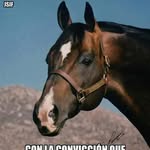 Abel Bazan - @abel.bazan.18488 - Instagram